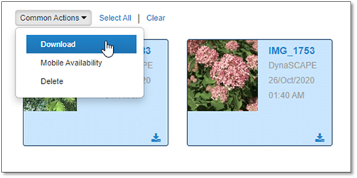 Download - Common Actions